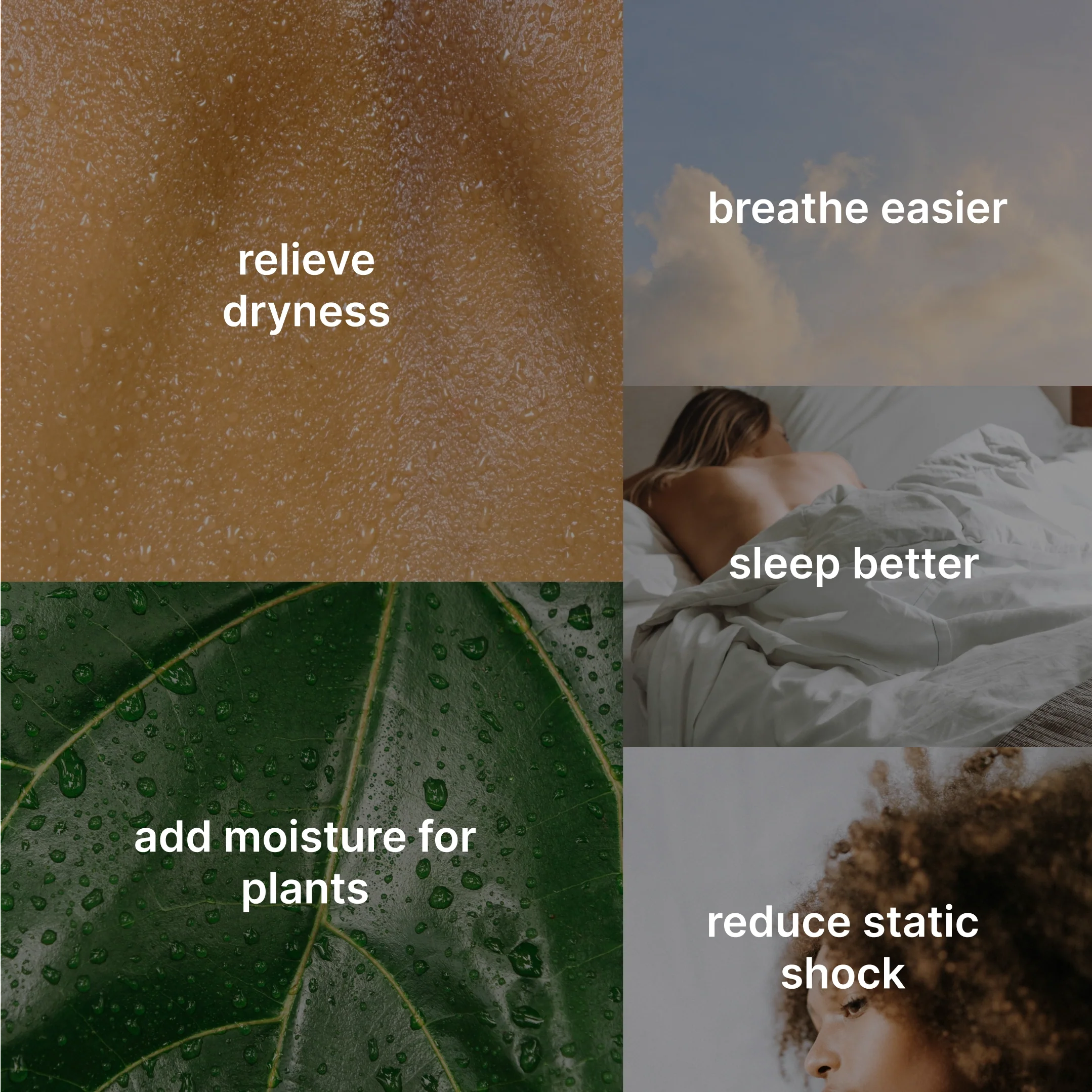 Natura Ultrasonic Warm & Cool Mist Humidifier - Image 3