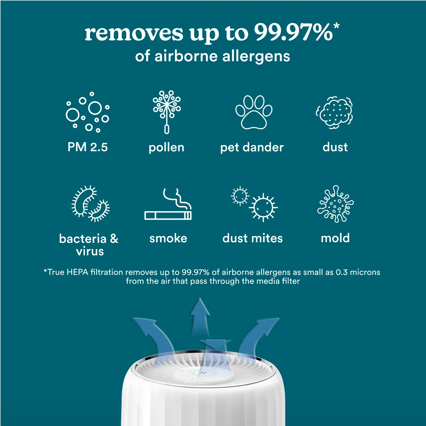 Large Room Smart Air Purifier T200 - Image 4