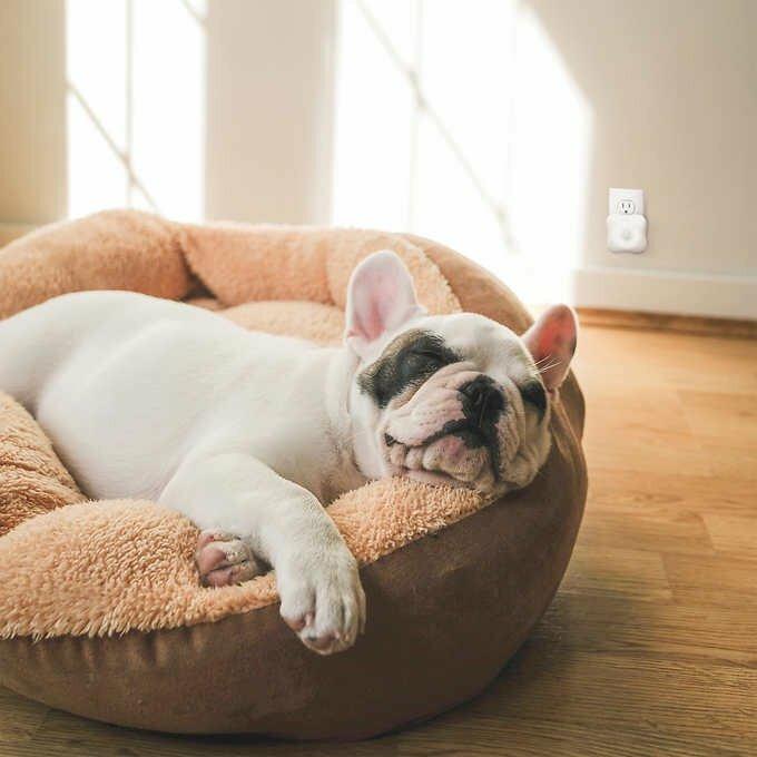 TotalClean® Personal UV Air Sanitizer - Image 5